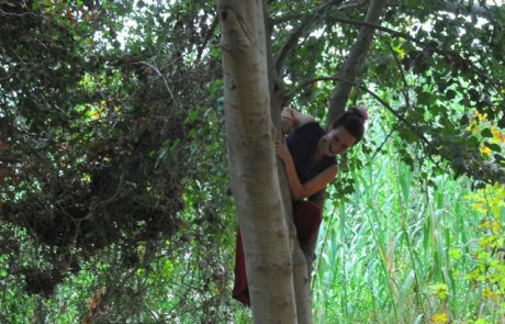 שיעור במדעי החיים החדשים